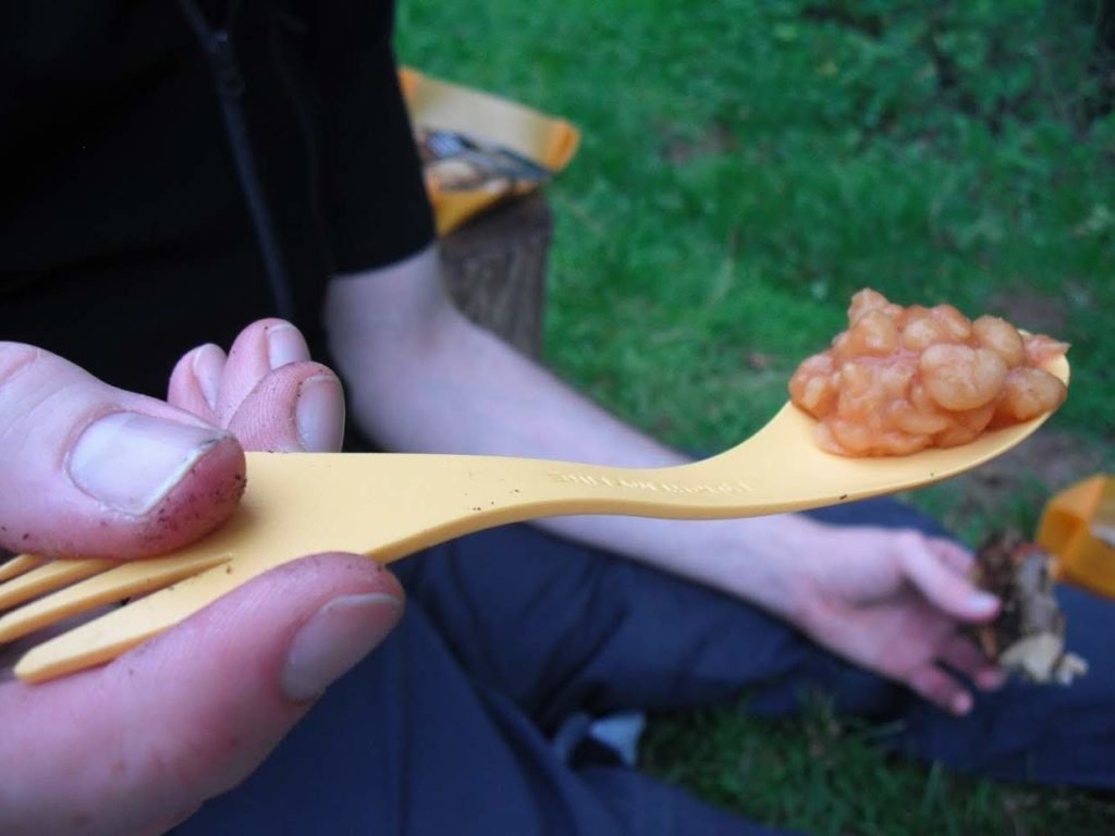 baked beans on a spoon